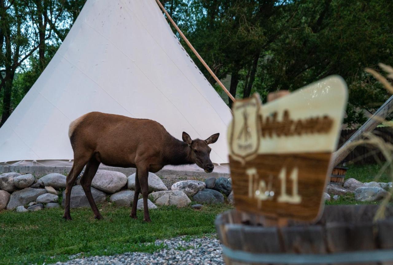 Dreamcatcher Tipi Hotel Gardiner Esterno foto