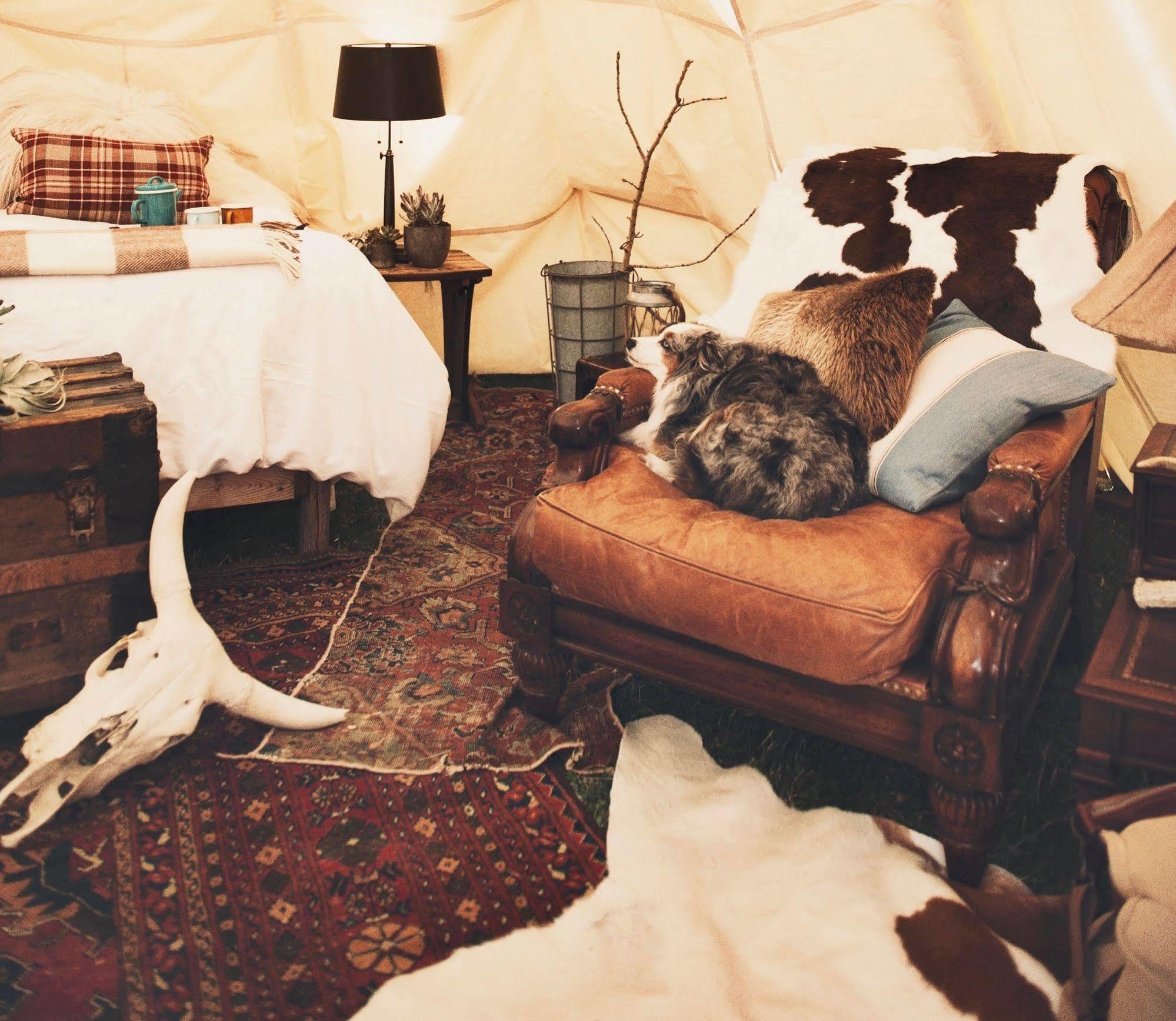 Dreamcatcher Tipi Hotel Gardiner Esterno foto